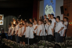 Pinguin-05
