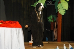 Pinguin-16