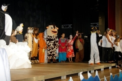 Pinguin-24