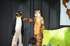 Pinguin-39