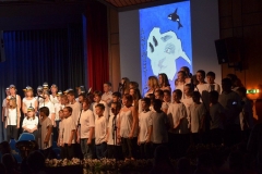 Pinguin-53