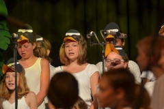Pinguin-63