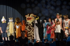 Pinguin-80