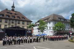 Bild-37