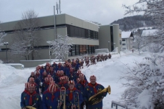 Fasnet3-001